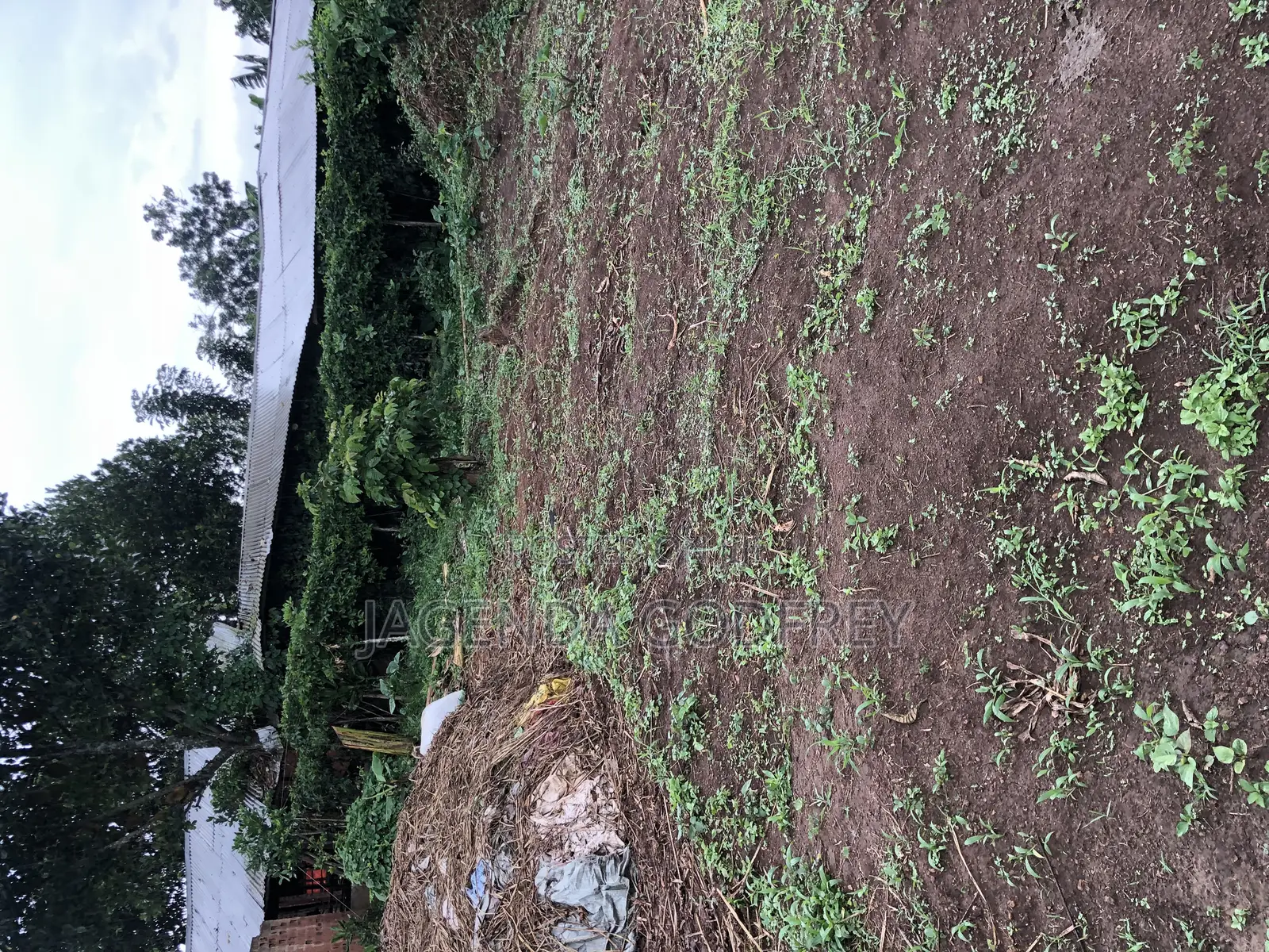 Non Titled Land