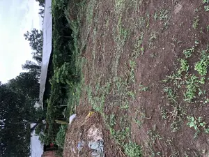 Non Titled Land