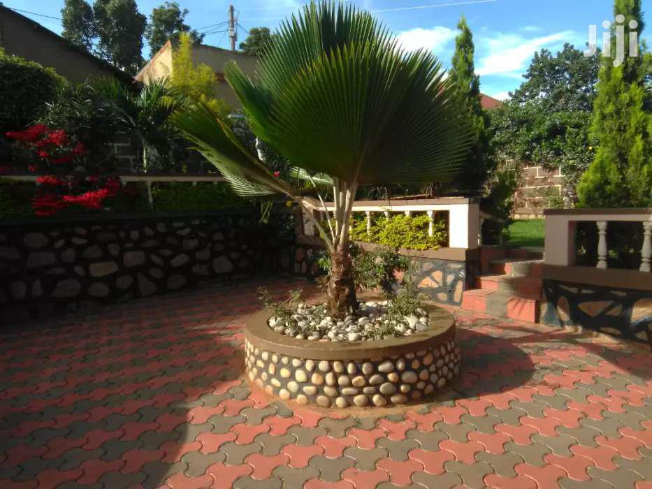 Fully Furnished Two Bedroom Apartment In Makindye For Rent