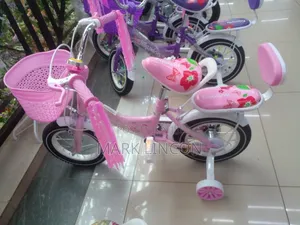Kid's Bicycle for Young Children