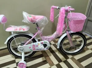 Kid's Bicycle for Young Children