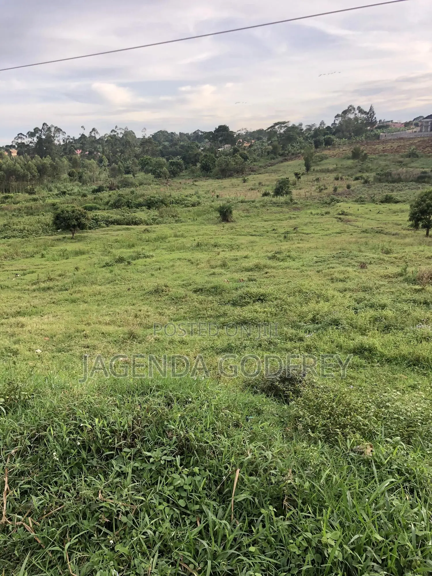 Titled Land