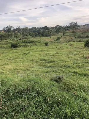 Titled Land