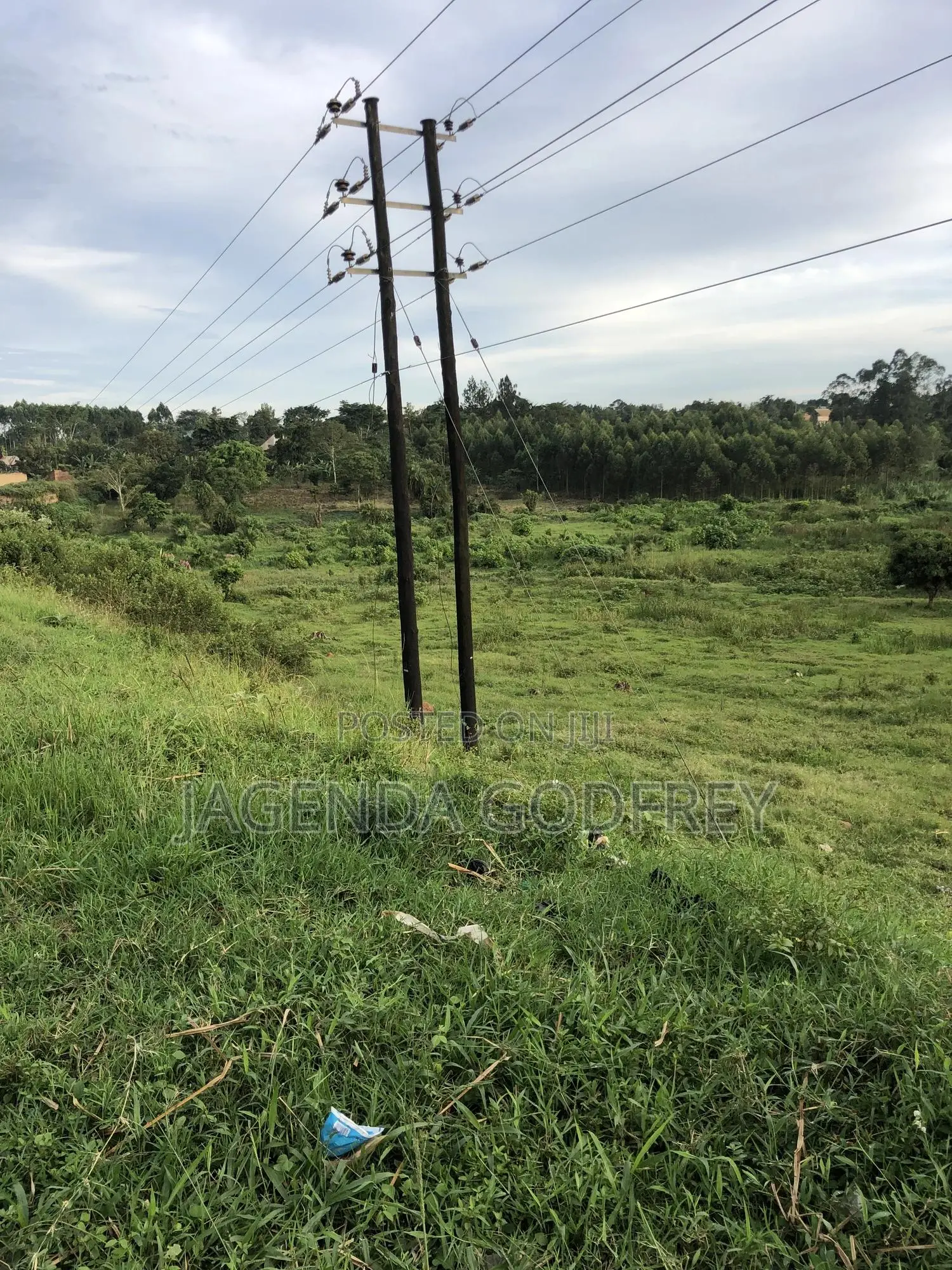 Titled Land