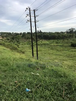 Titled Land