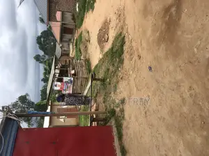 Land and Plots