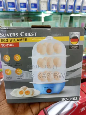 Electric Egg Steamer.