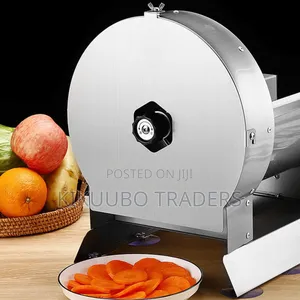 Electric Food Slicer With 2xblade, Stainless Steel Electric Slicer