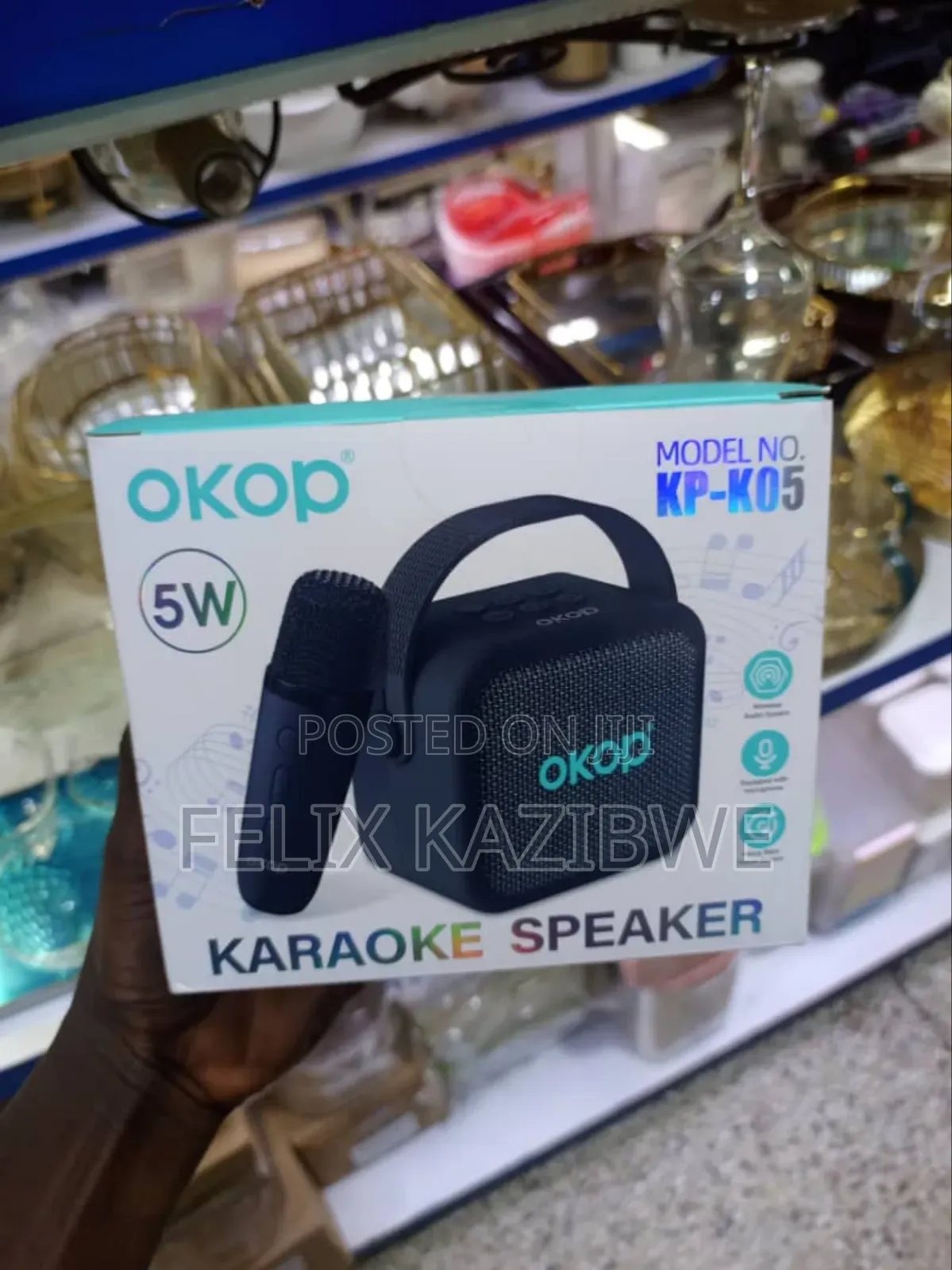 Portable Wireless Karaoke Speaker System.