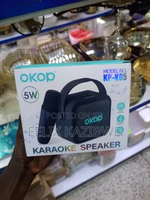 Portable Wireless Karaoke Speaker System.