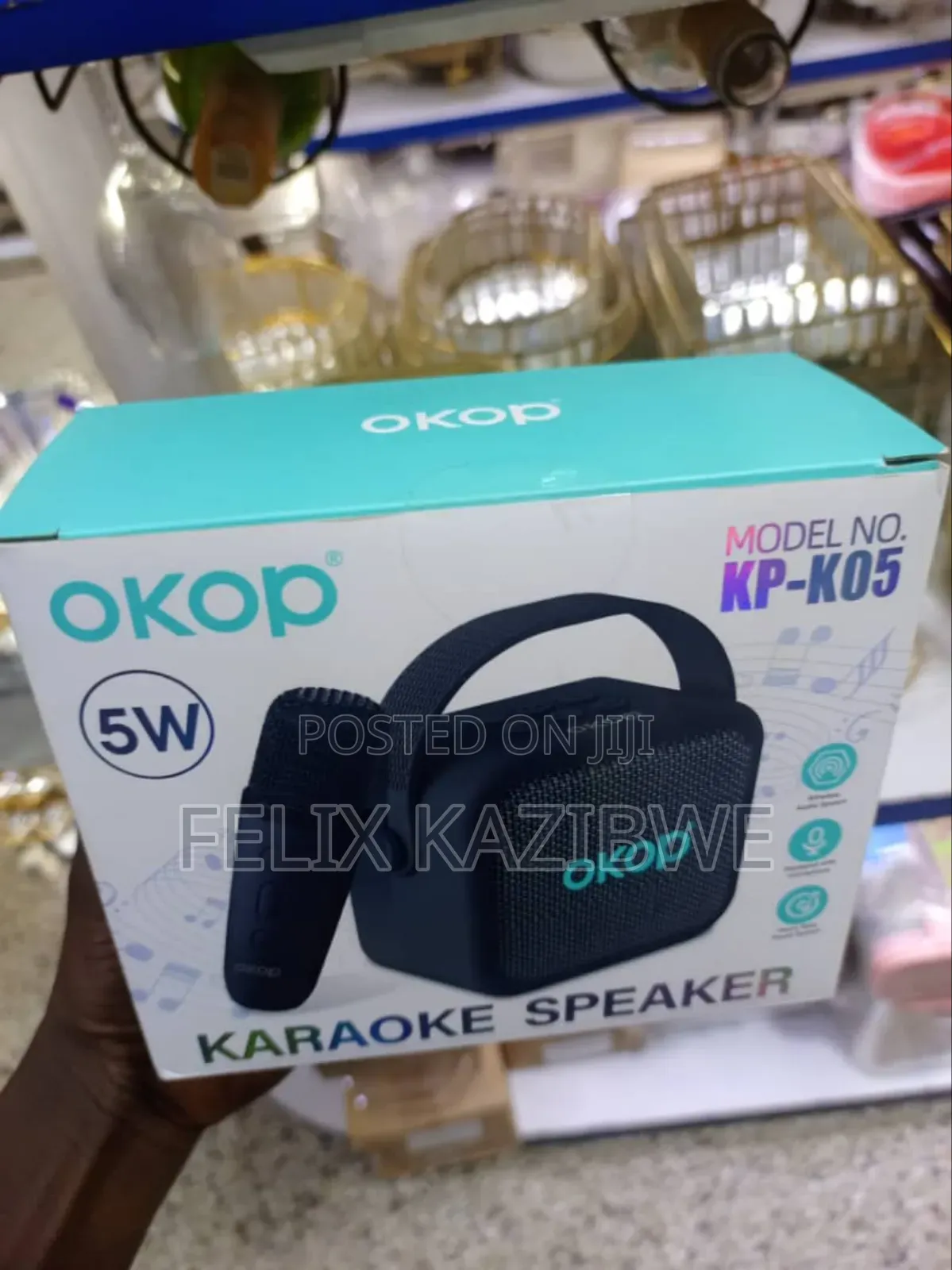 Portable Wireless Karaoke Speaker System.