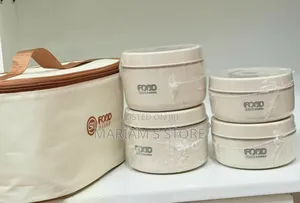 4-Piece Stainless Steel Insulated Lunch Box Set With a Thermal Carry B