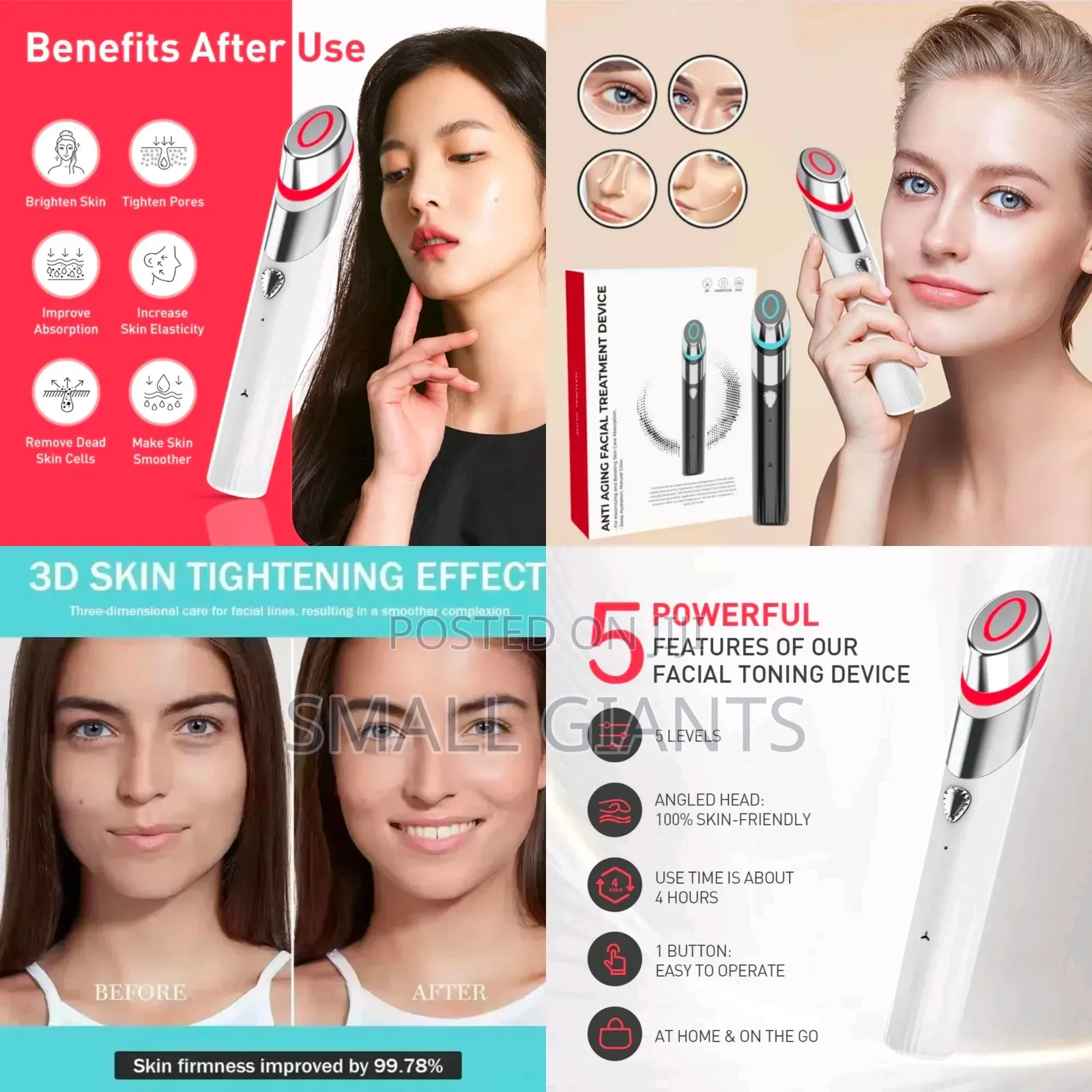 Professional 3-in-1 Facial Massager