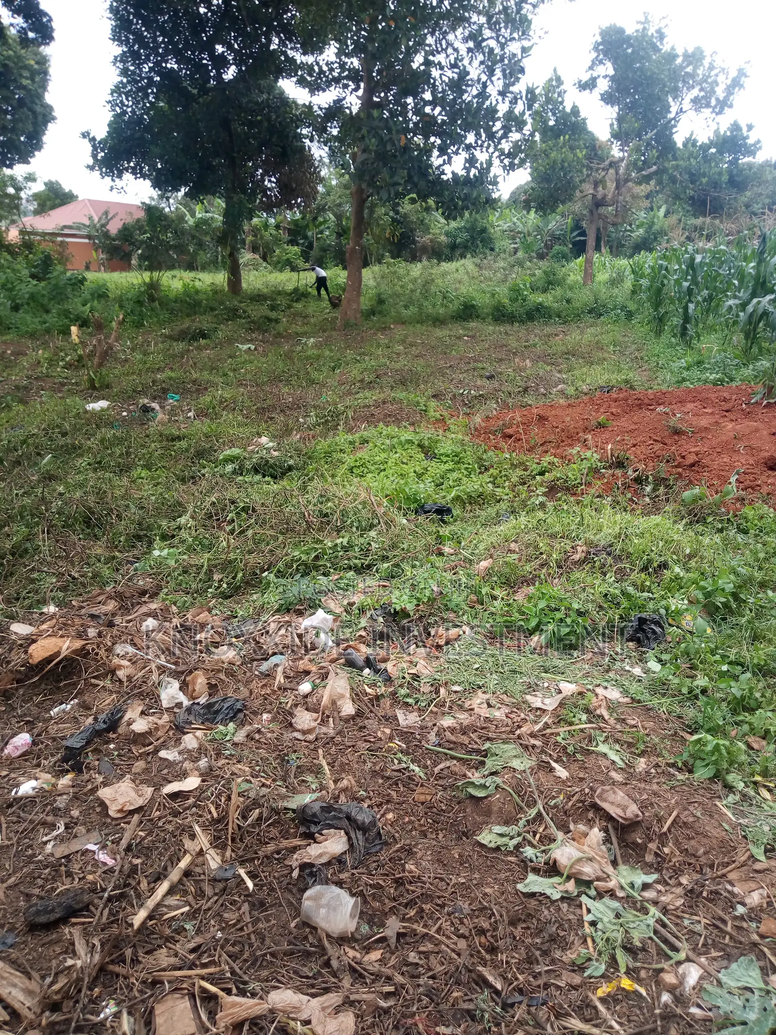 Plot 4 Sale 30x60ft at 8m Ugx Sentema Town