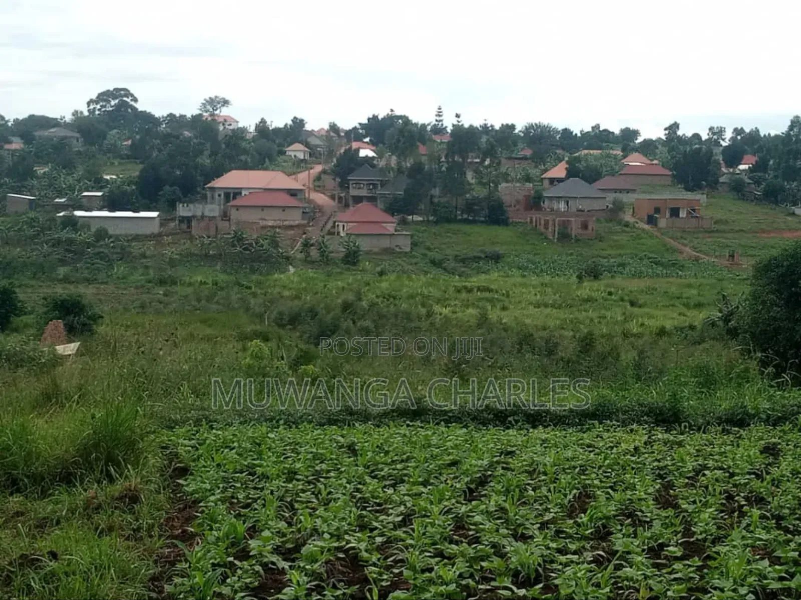 Plot on Sale in Gayaza Nakwero