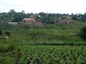 Plot on Sale in Gayaza Nakwero