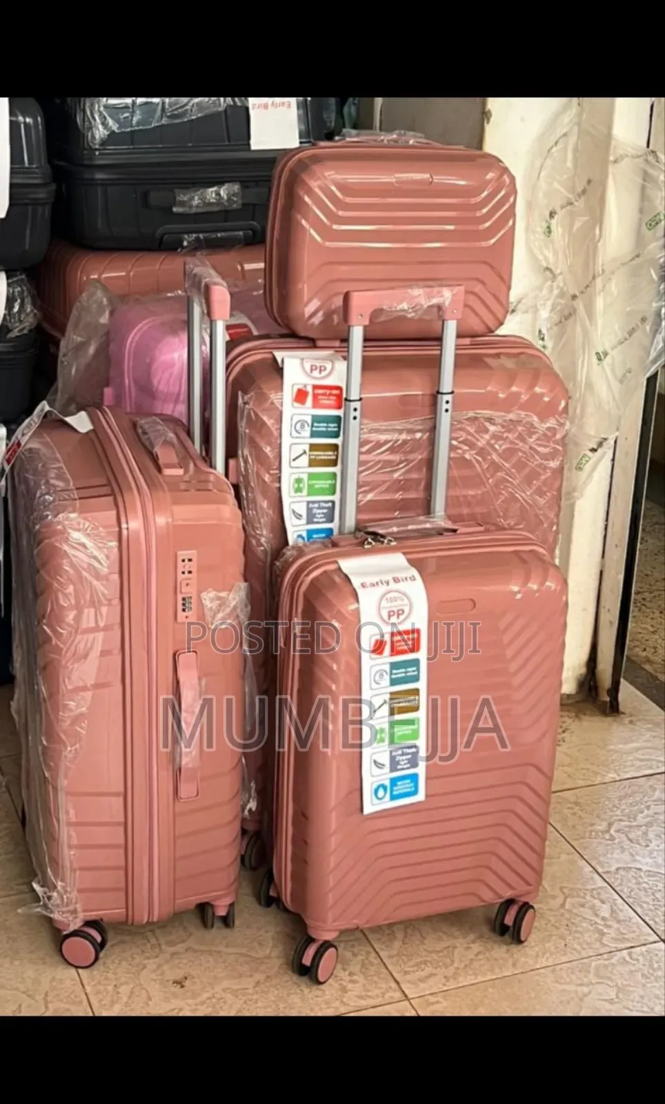 Early Bird Suit Case