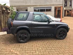 Toyota RAV4 Cabriolet 1998 Gray