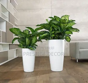 Flower Vases