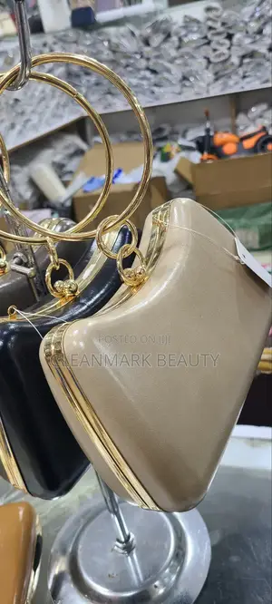 Elegant Ladies Party Bag