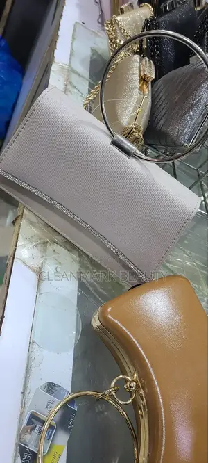 Chic Elegant Ladies Party Bags