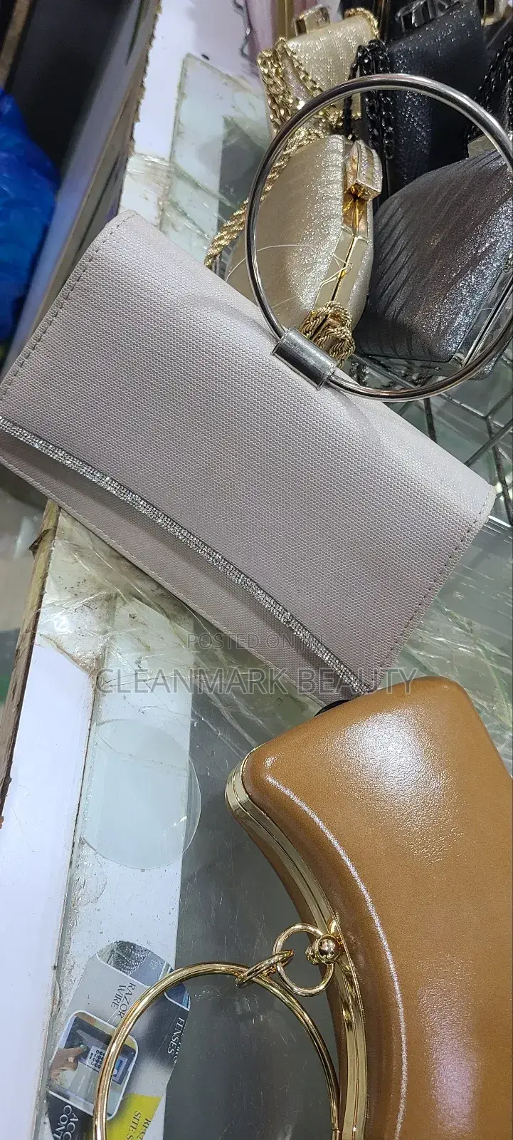 Chic Elegant Ladies Party Bags