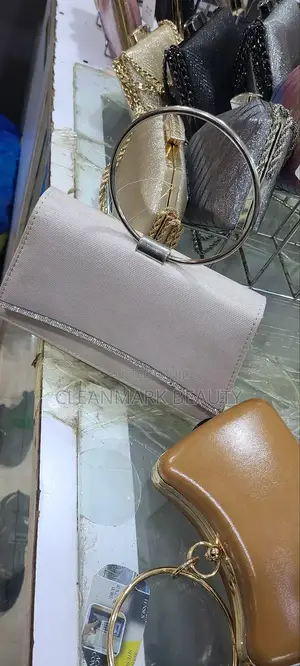 Chic Elegant Ladies Party Bags