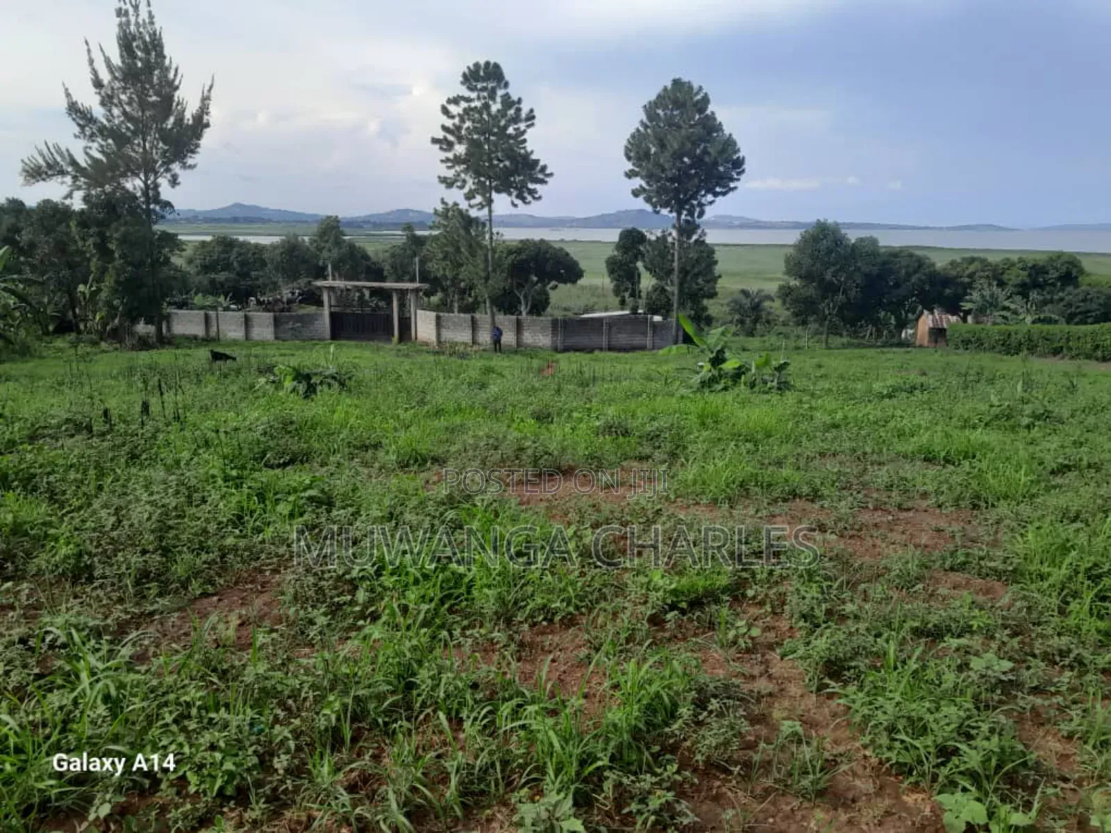 Plot on Sale in Entebbe