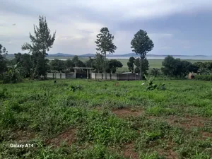Plot on Sale in Entebbe