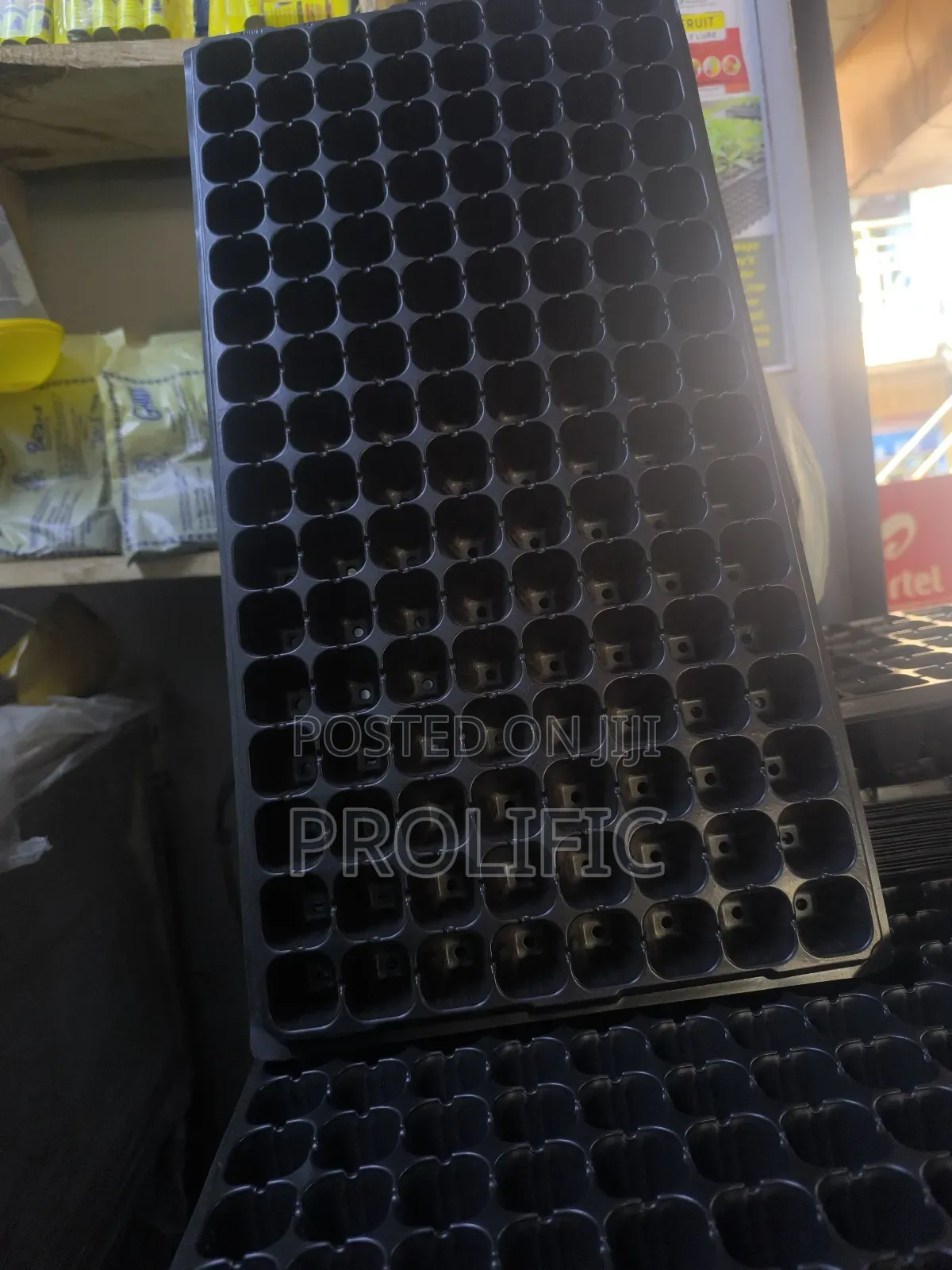 Seedling Trays