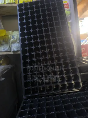 Seedling Trays