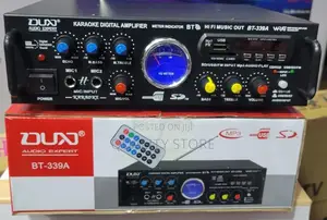 Dud Audio Expert Amplifier Bt-339a