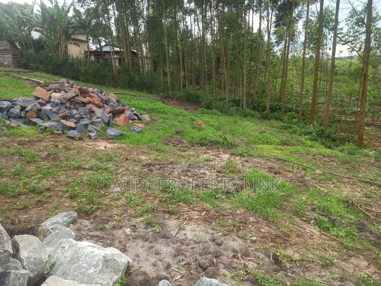 100ft 100ft in Ruharo Mbarara City.