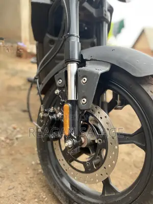 Bajaj Boxer 100 2021 Green