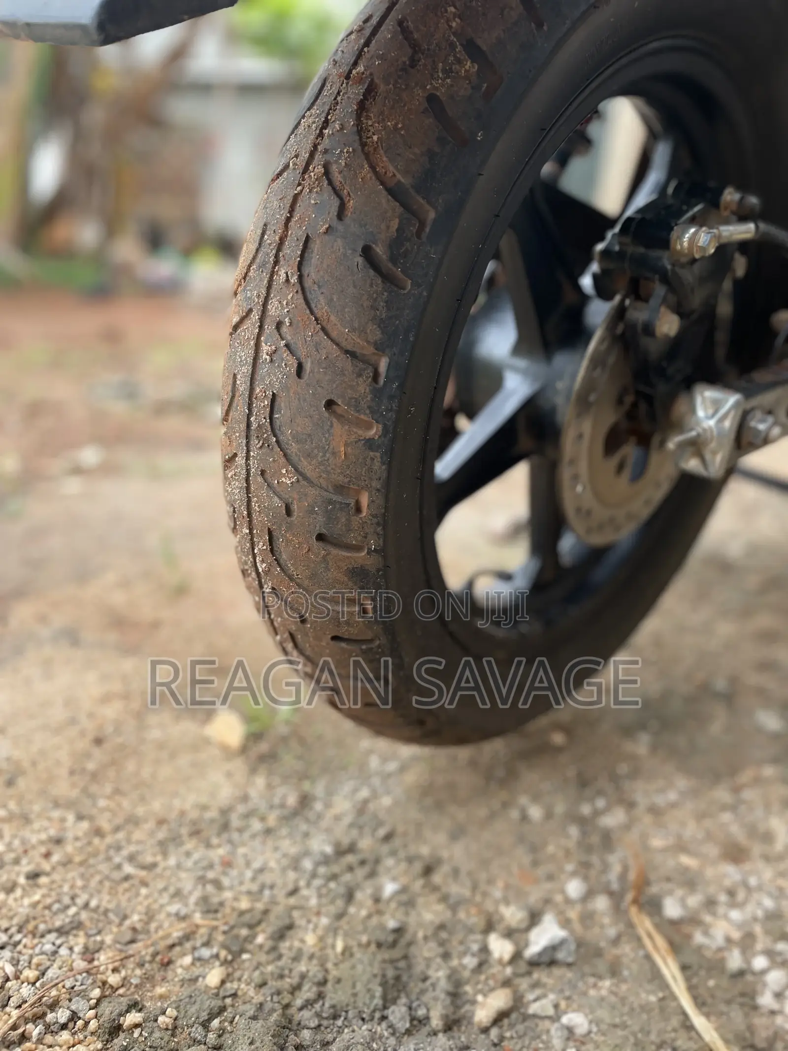 Bajaj Boxer 100 2021 Green