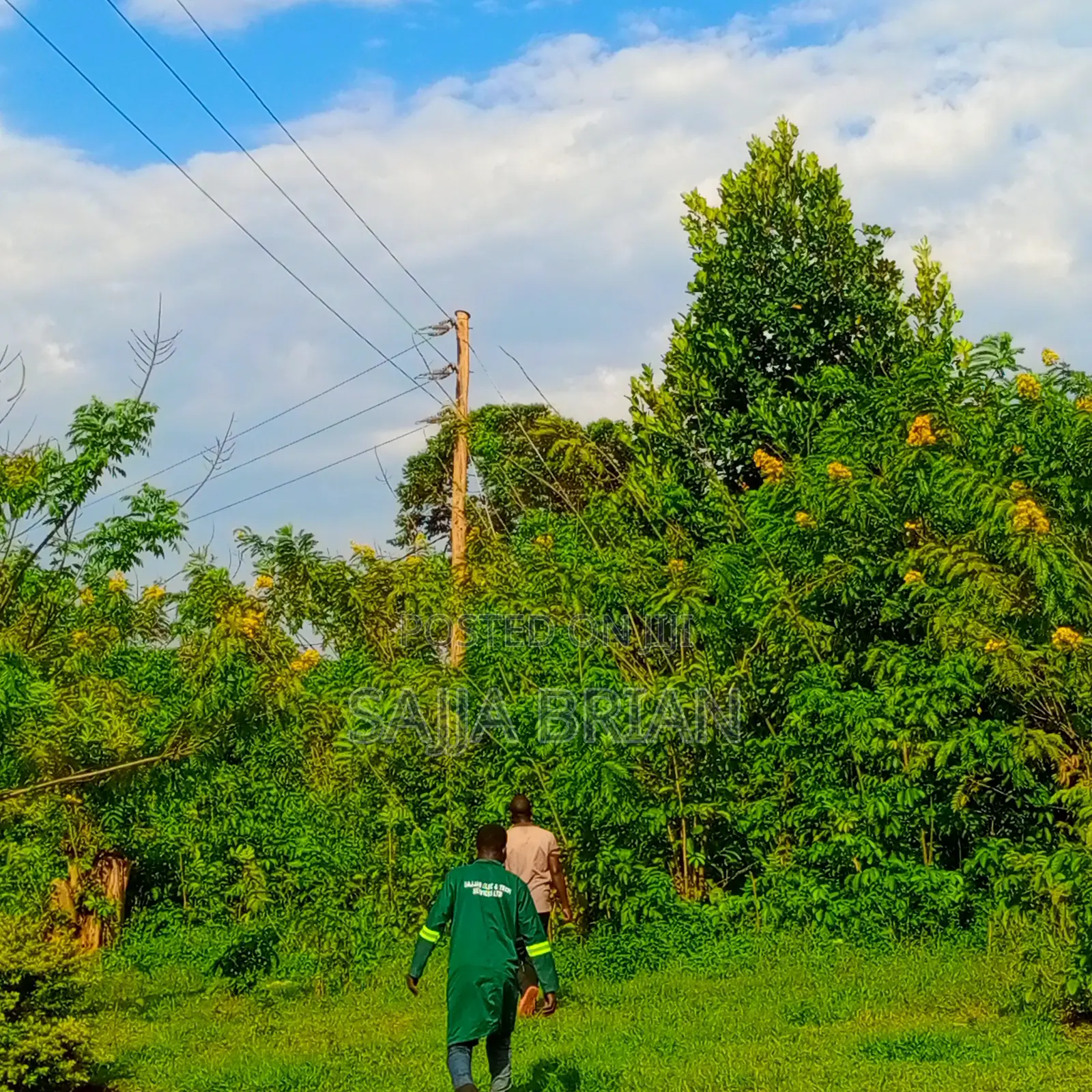 Power Line Construction , Transformer Installation