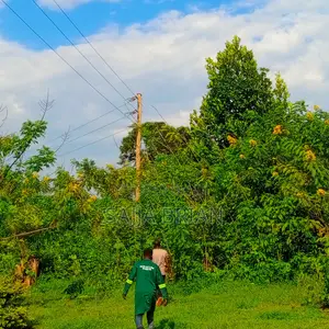 Power Line Construction , Transformer Installation