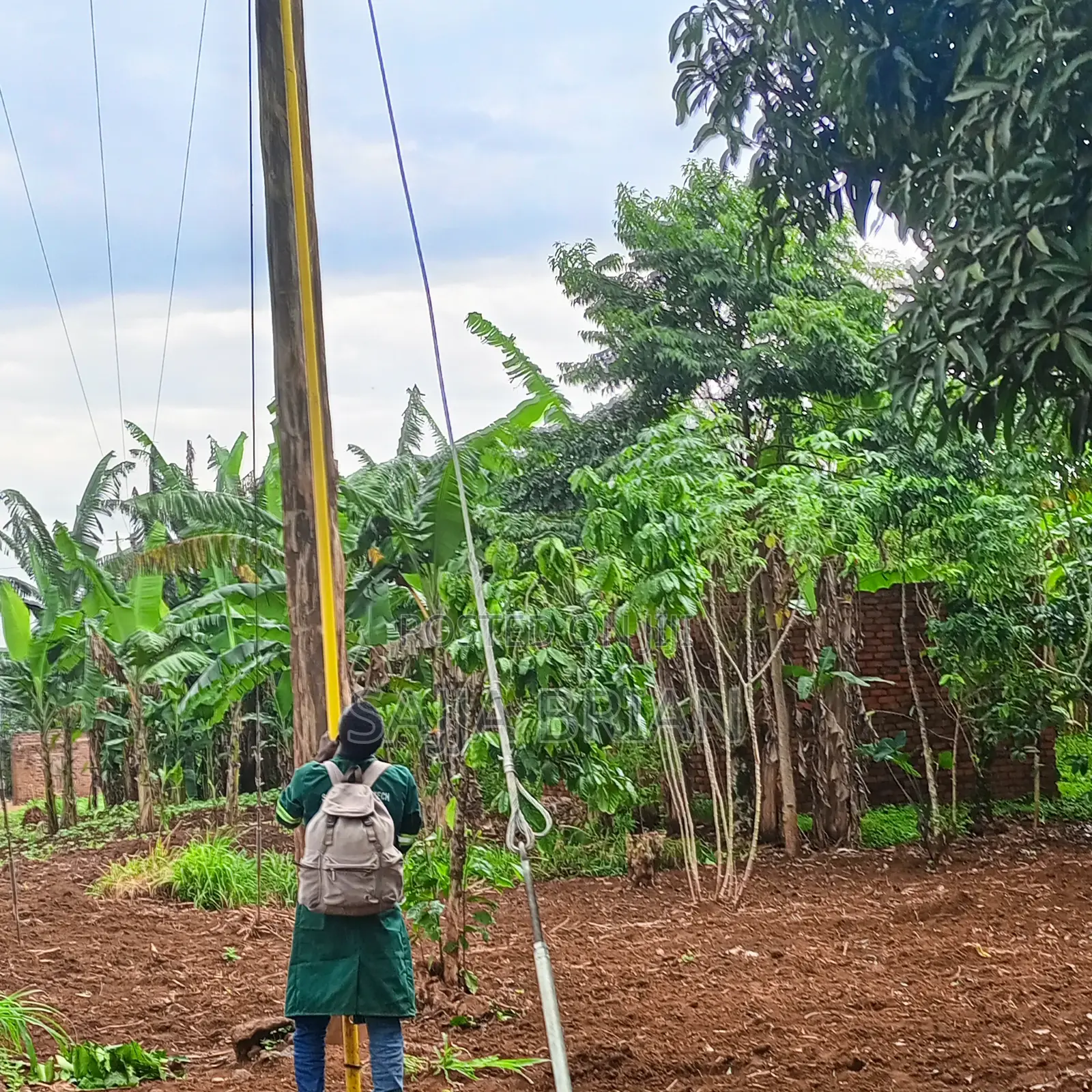 Power Line Construction , Transformer Installation