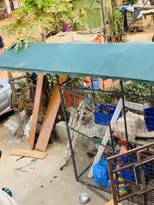 Waterproof PVC Net