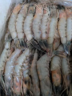 Frozen Prawns