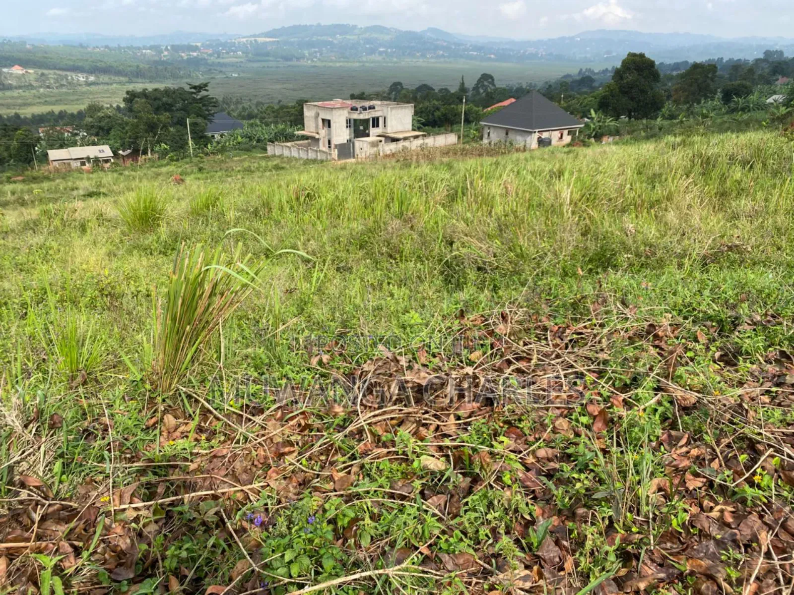 Plot on Sale in Entebbe Nkumba