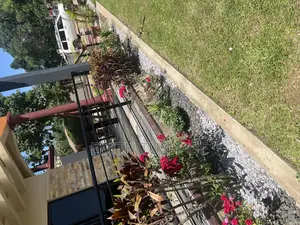 Compound Designing
