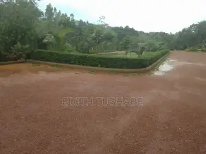 Lawn Care and Compound Maintenance