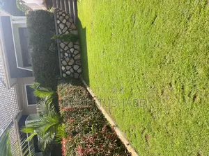 Lawn Care and Compound Maintenance