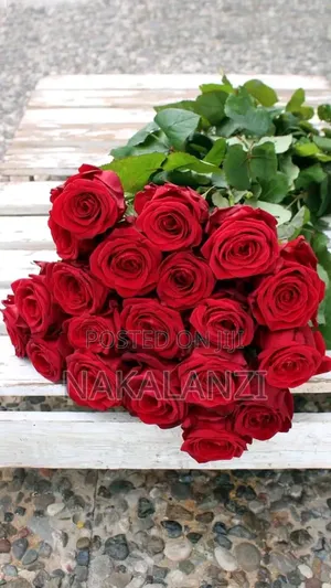 Natural Fresh Roses