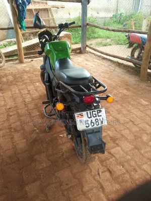 Apsonic 150X-I 2025 Green