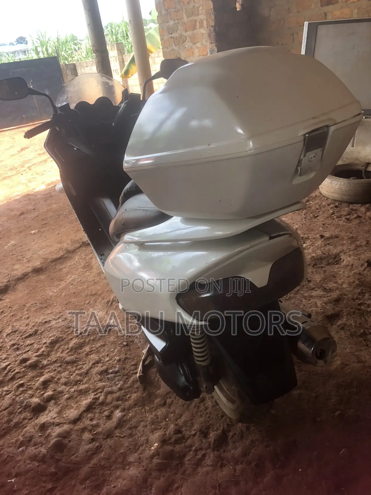 Honda 2000 White