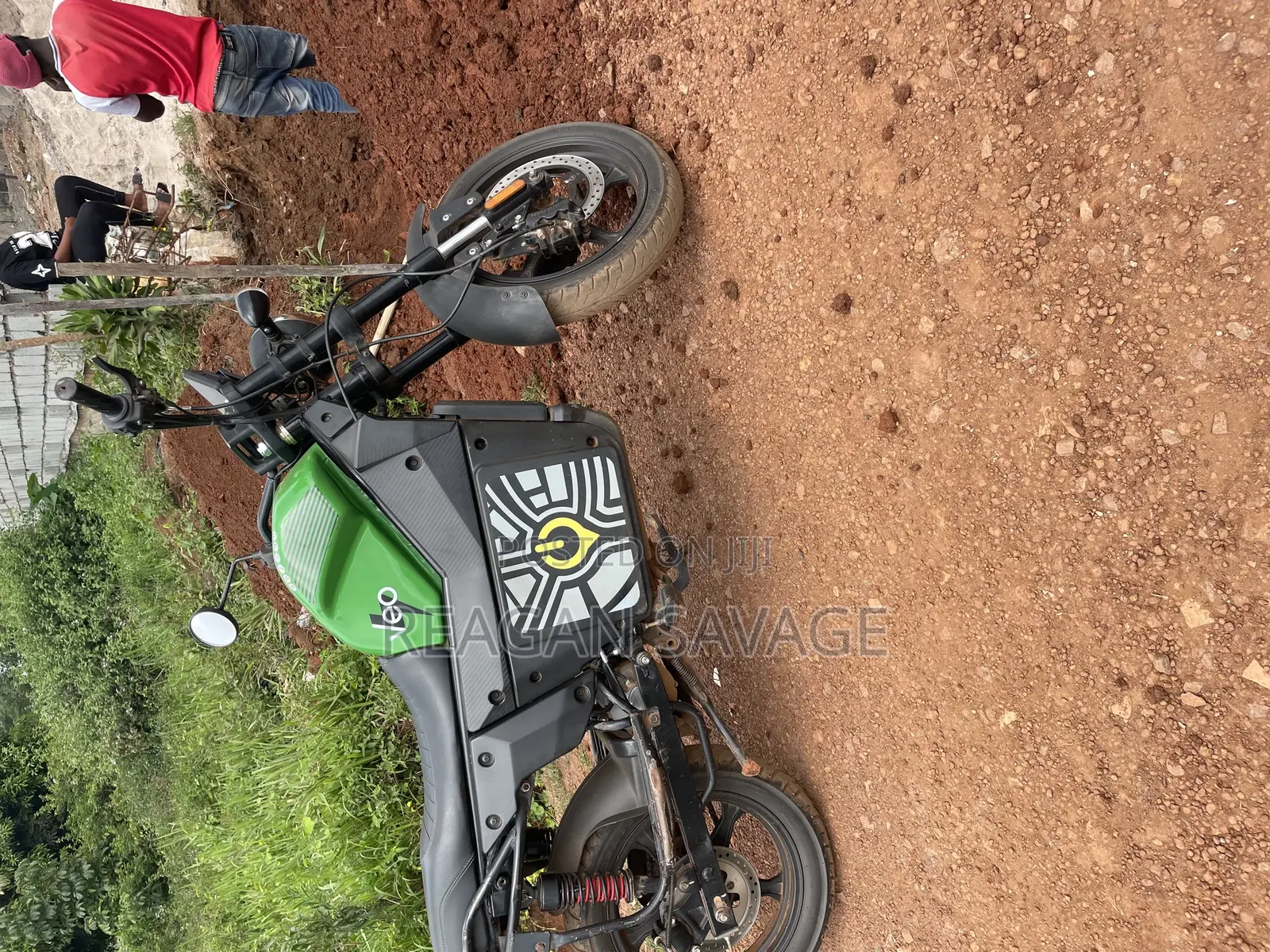 Bajaj Boxer 100 2023 Green