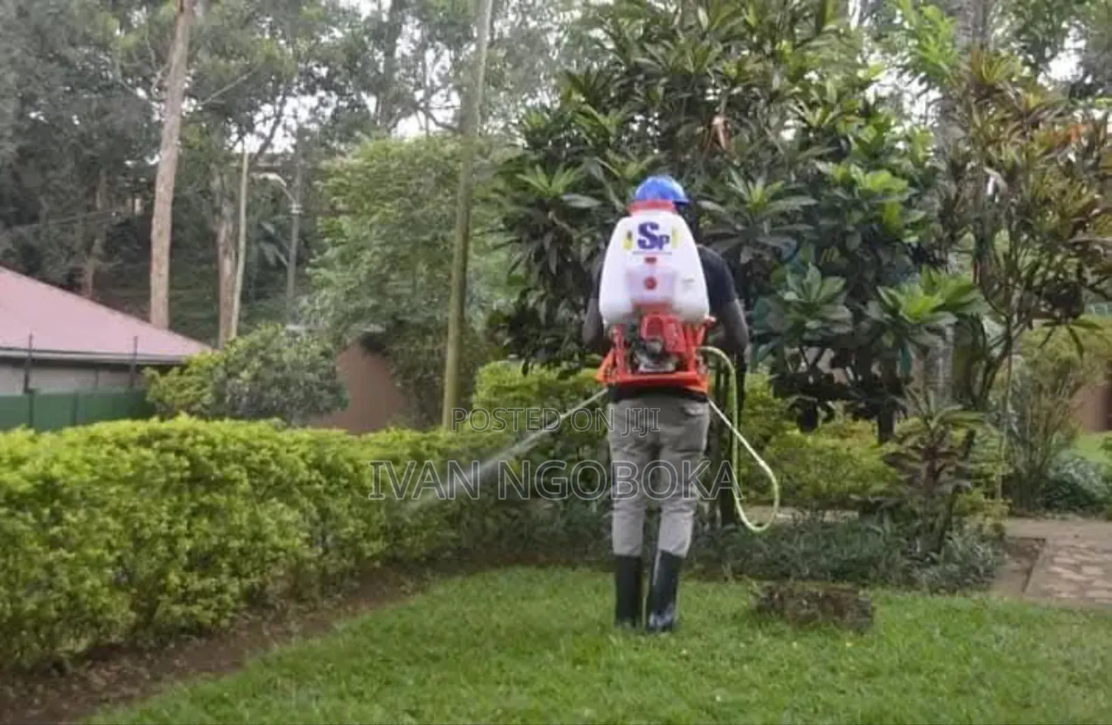 Cleaning and Fumigation