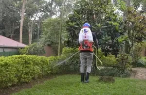 Cleaning and Fumigation